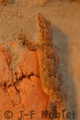 I06918