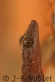 I06936