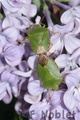Crw_3589