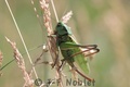 Crw_8365