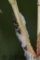 Crw_4882