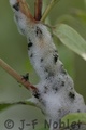 I01738