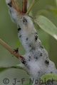 I01740