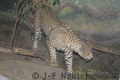 Crw_0592