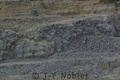 Crw_0483