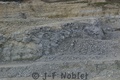 Crw_0484