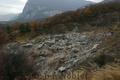 Crw_0497