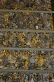 Crw_0521