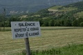 Crw_8056