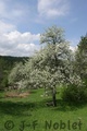 Crw_3560