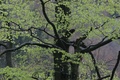 Img_3506