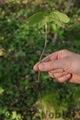 Crw_3241