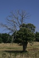 Crw_3302