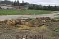 Image_1