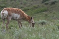 Img_3737