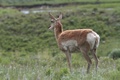 Img_3740