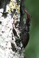 Img_2763