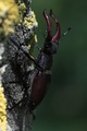 Img_2785