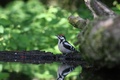 Img_1984