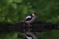 Img_2023