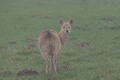 Img_4404