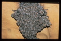 Image12