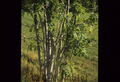 Image10