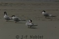 I02436