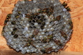 1x5a2637