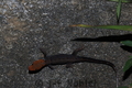 00009457