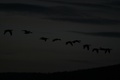 Img_0970
