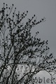 Img_1844