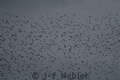 Img_1853