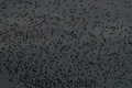 Img_1869