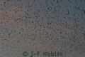 Img_1901