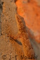 I06912